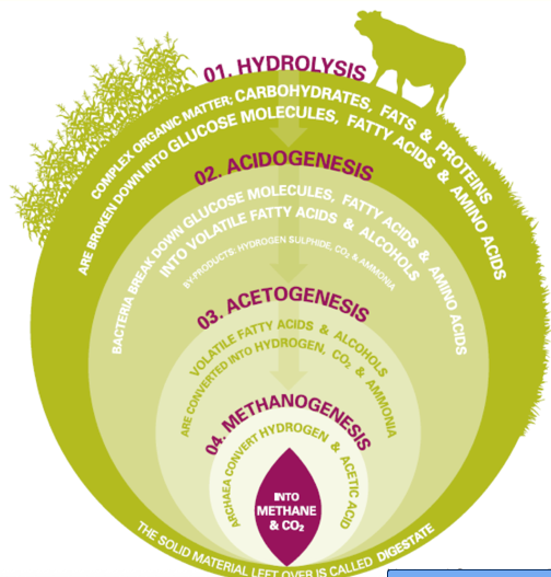 Turn-Key CBG Projects